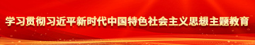 草一草美女的逼逼学习贯彻习近平新时代中国特色社会主义思想主题教育