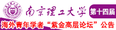 摸逼小视频南京理工大学第十四届海外青年学者紫金论坛诚邀海内外英才！